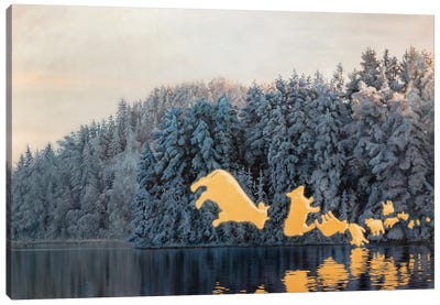 The Frozen Island Canvas Art Print - Johannes Wessmark