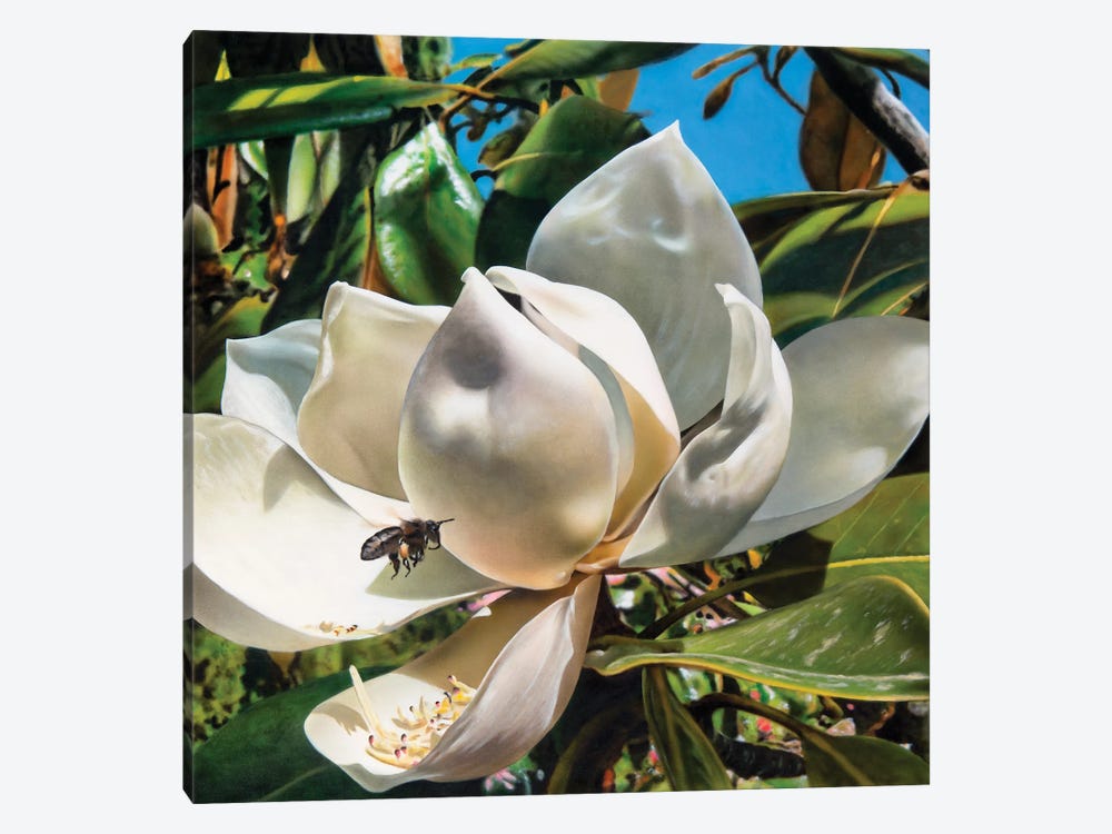 Magnolia by Johannes Wessmark 1-piece Art Print