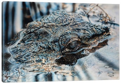 Mugger Canvas Art Print - Crocodile & Alligator Art