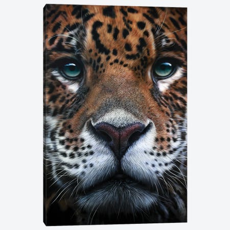 Panthera Onca Canvas Print #WSK48} by Johannes Wessmark Canvas Art Print