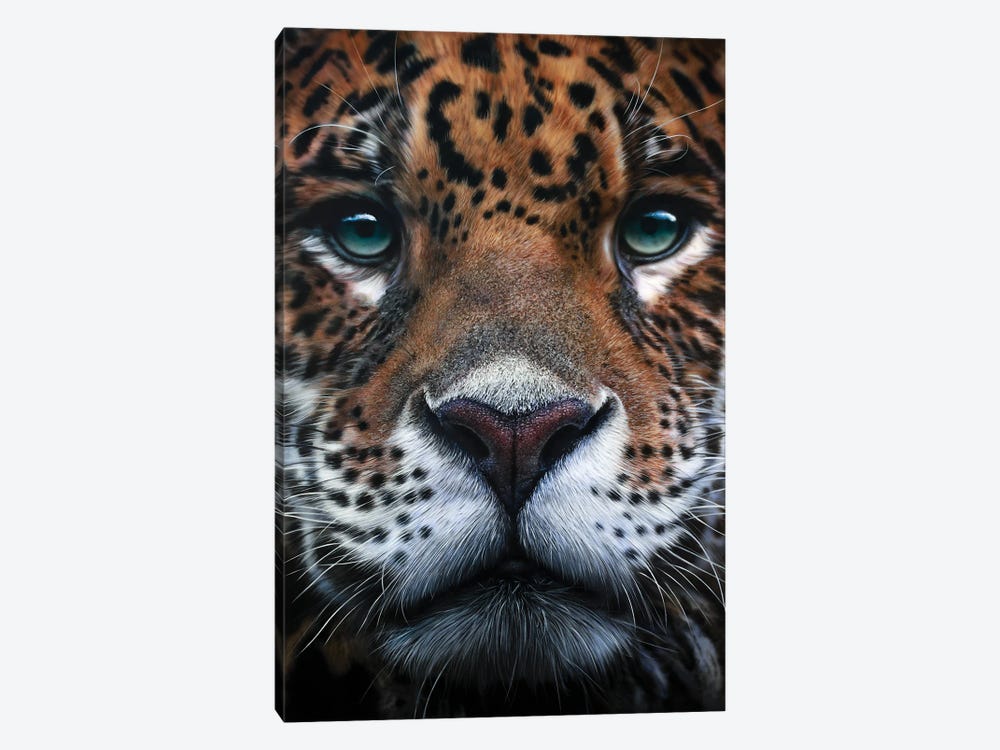 Panthera Onca by Johannes Wessmark 1-piece Canvas Print