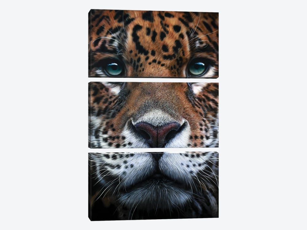 Panthera Onca by Johannes Wessmark 3-piece Canvas Print