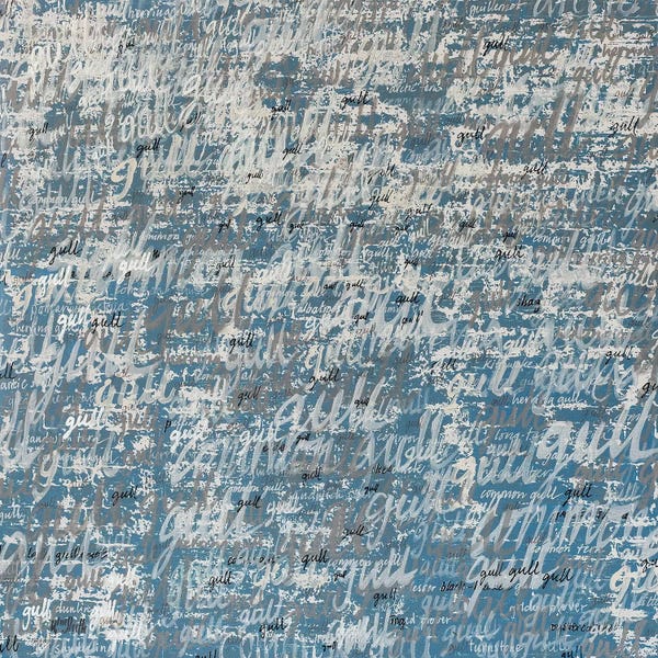 Artists Like Monet: Seabirds by Wayne Sleeth