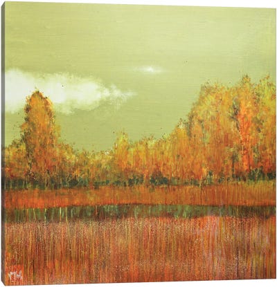 Autumn Composition Canvas Art Print - Wayne Sleeth