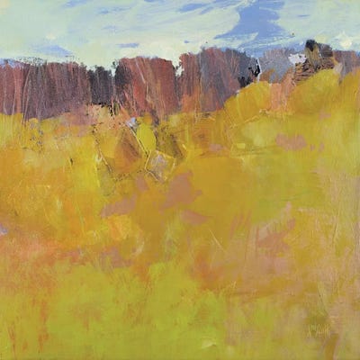 Ardeche by Wayne Sleeth art print