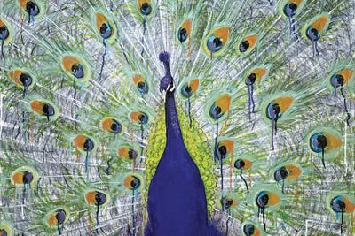 Vanity No. 2 by Wayne Sleeth framed wall art