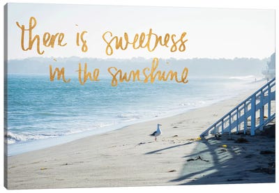 Sweetness In The Sunshine Canvas Art Print - Exploration Art