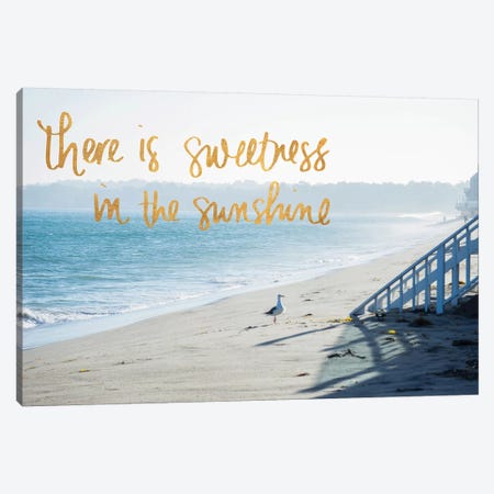 Sweetness In The Sunshine Canvas Print #WST4} by Wil Stewart Canvas Artwork