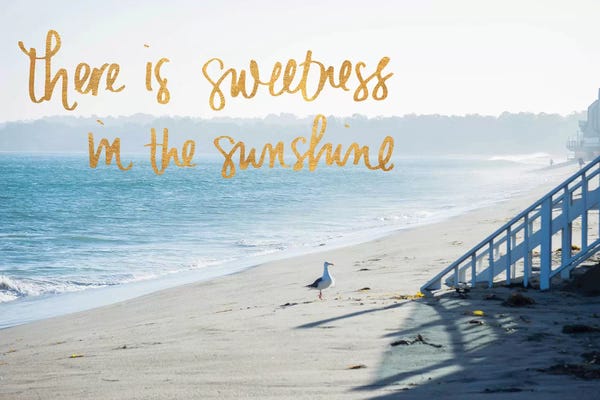 Exploration: Sweetness In The Sunshine by Wil Stewart