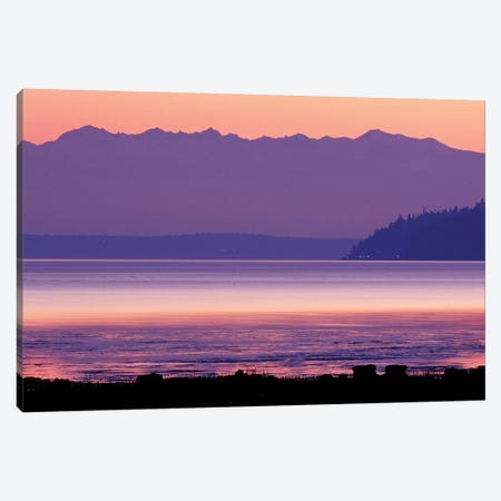 Pastel Sunset Over Puget Sound, Washington, USA Canvas Print #WSU2} by William Sutton Canvas Art