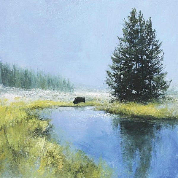 Western River Stream II