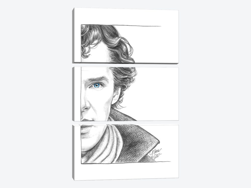 Sherlock by Marta Wit 3-piece Canvas Art