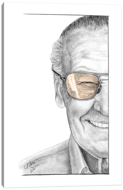 Stan Lee Canvas Art Print - Literature Art