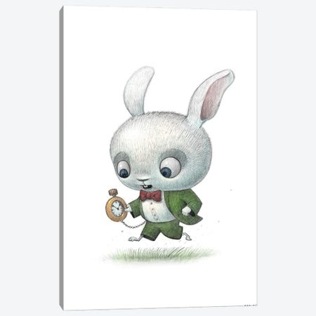 Baby White Rabbit Canvas Print #WTY110} by Will Terry Canvas Art Print