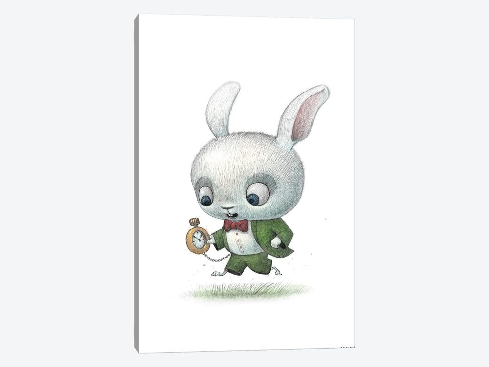 Baby White Rabbit by Will Terry 1-piece Canvas Art Print