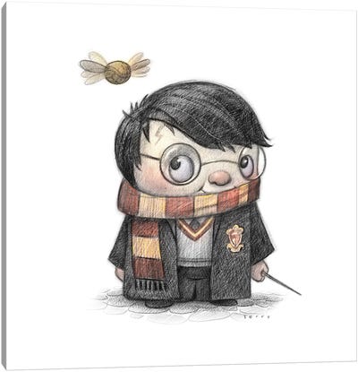 Harry Potter Canvas Art Print