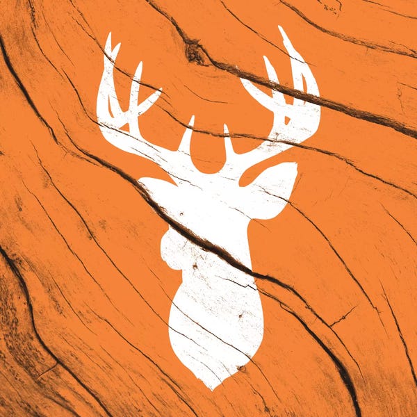 Hunting Deer