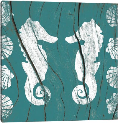 Sea Mates and Shells Canvas Art Print - Weathered Woodblocks