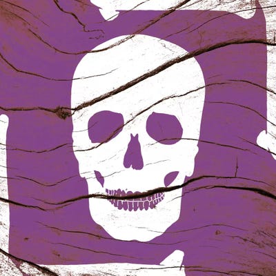 Skull and Bones by 5by5collective canvas print