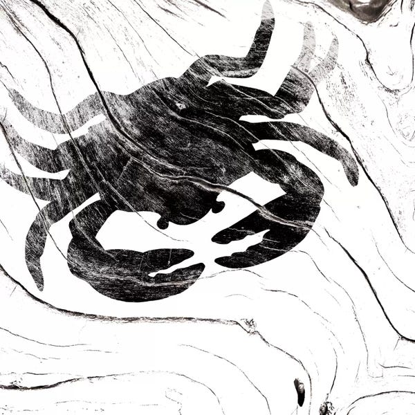 Crabs: Always Move Forward by 5by5collective