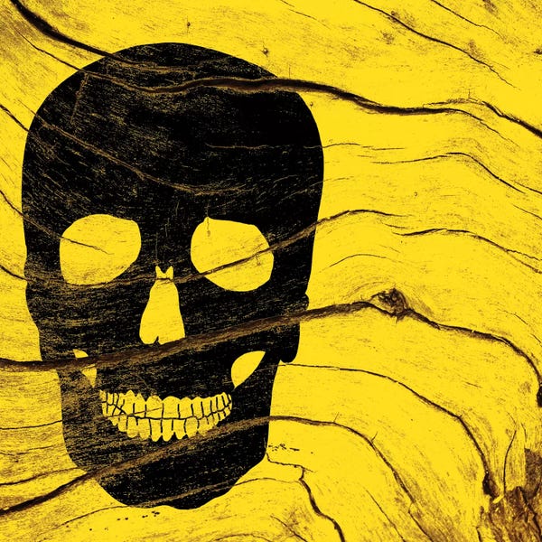 Skulls: Disregard Caution by 5by5collective