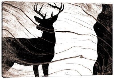 Found In The Wild Canvas Art Print - Deer Art