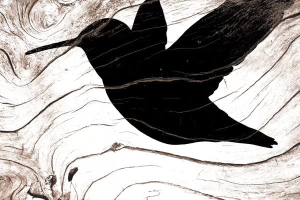 Hummingbirds: Let Your Spirit Soar by 5by5collective