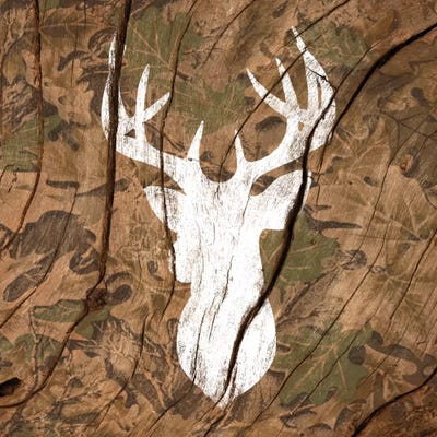 Camouflage Deer by 5by5collective canvas print