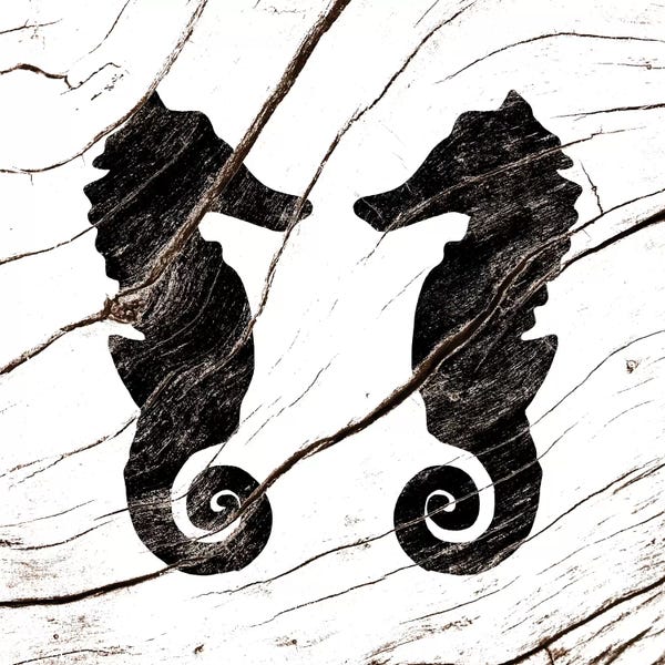 Seahorses: Love At First Sight by 5by5collective