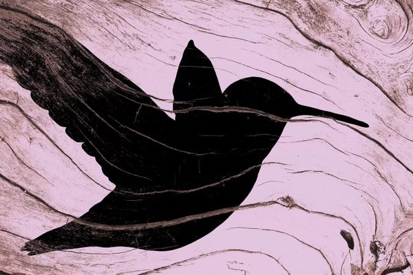 Hummingbirds: Mid-Flight by 5by5collective