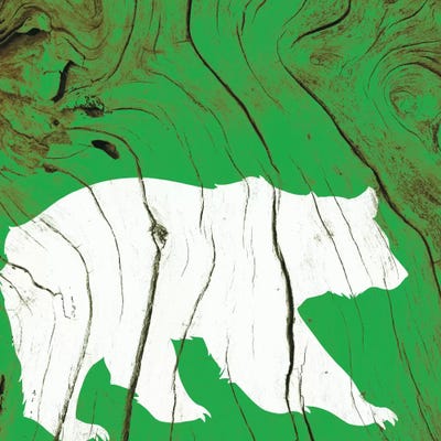 Roaming This Earth by 5by5collective canvas print