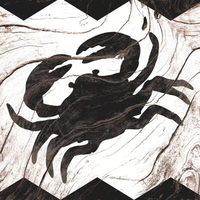 Scanning The Beach by 5by5collective framed canvas print