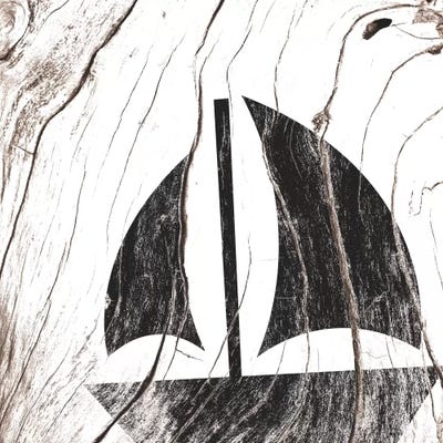 Shipwrecked by 5by5collective canvas print