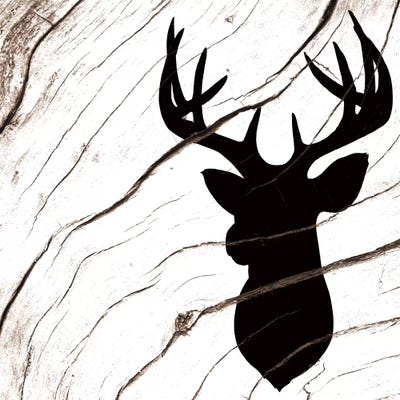 The Champion by 5by5collective canvas print