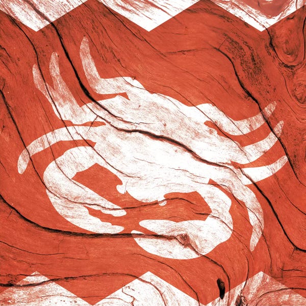 Crabs: Crab Walk by 5by5collective