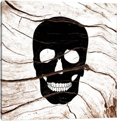 Dark Skull Canvas Art Print - Weathered Woodblocks
