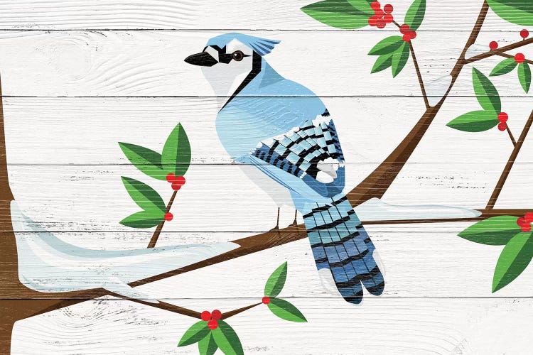 Berry Blue Jay by 5by5collective wall art