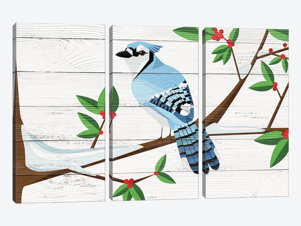 Berry Blue Jay by 5by5collective 3-piece Canvas Wall Art