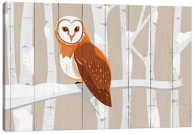 The Winged Moonlighter Canvas Art Print - Owl Art