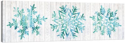 A Winter Blizzard Canvas Art Print - Ice & Snow Close-Up Art