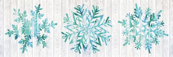 Ice & Snow Close-Ups: A Winter Blizzard by 5by5collective