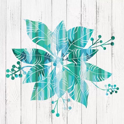 Poinsettia Noel by 5by5collective canvas print