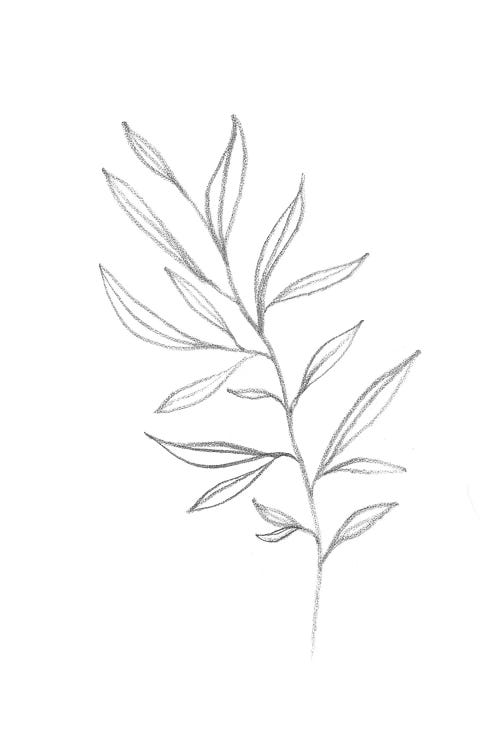 Line Art Plant