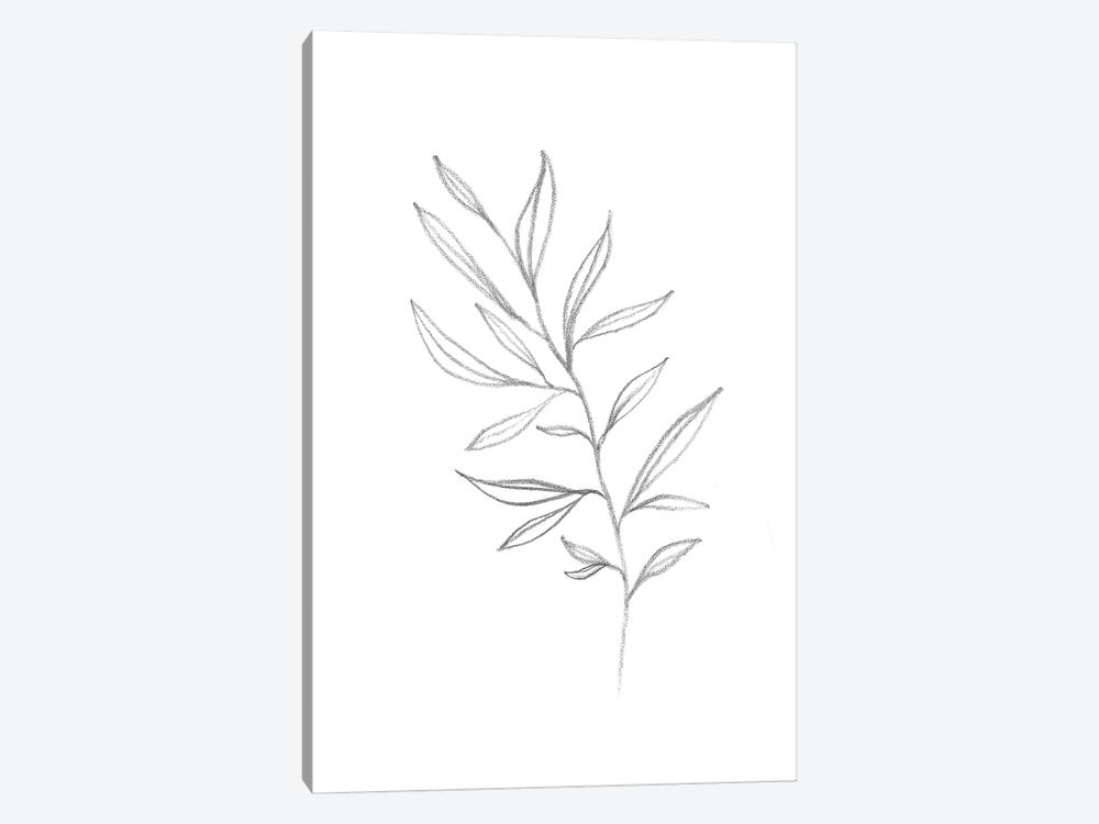 Line Art Plant by Whales Way 1-piece Canvas Wall Art