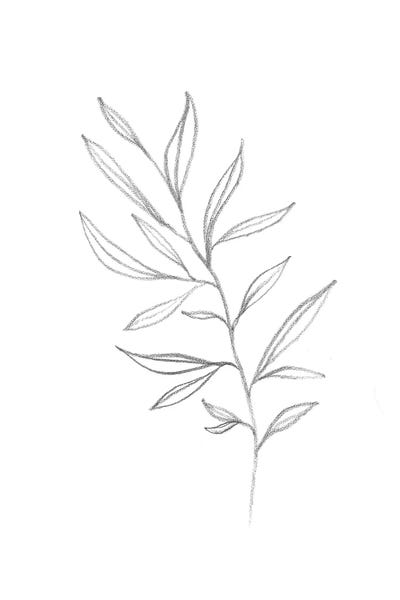 Black & White Florals: Line Art Plant by Whales Way