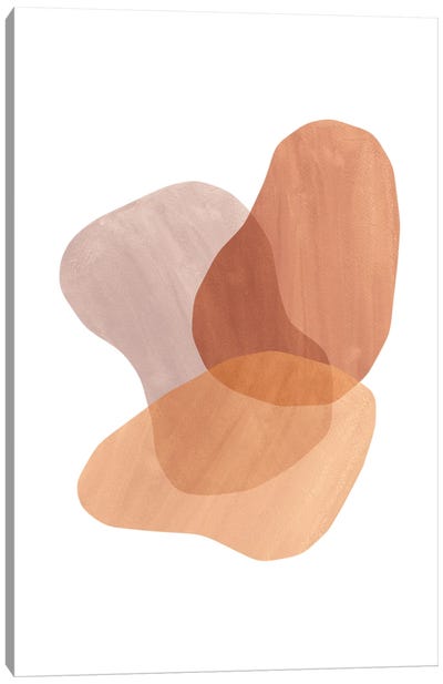 Earth Tone Organic Shapes Canvas Art Print - Adobe Abstracts