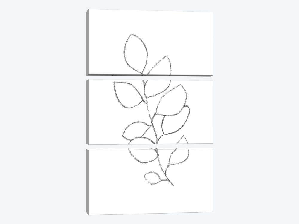 Line Art Plant II by Whales Way 3-piece Canvas Art