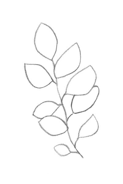 Black & White Florals: Line Art Plant II by Whales Way