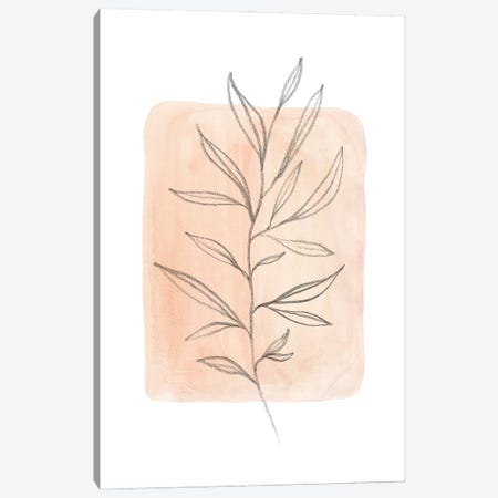 Pastel peach tone plant Canvas Print #WWY133} by Whales Way Art Print