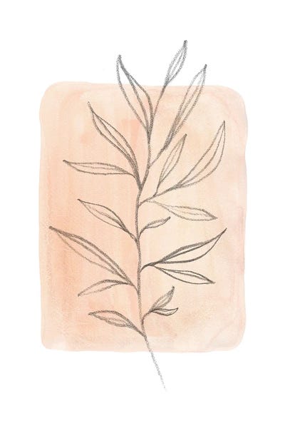 Pastel peach tone plant